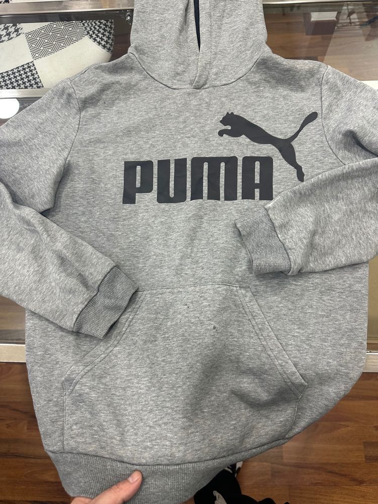 Puma Grey Hoodie