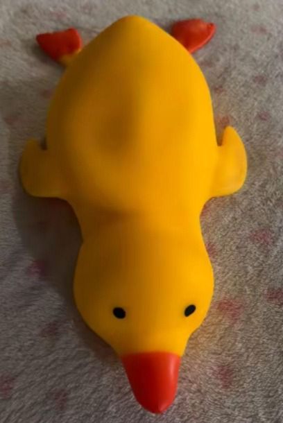 Yellow Rubber Duck Toy obraz 3