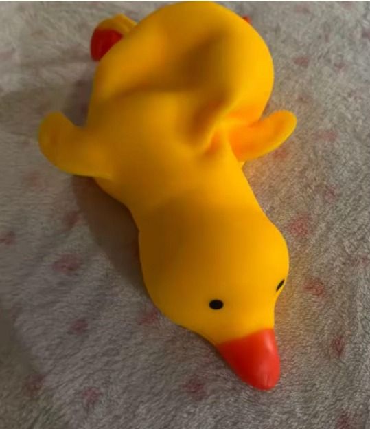 Yellow Rubber Duck Toy
