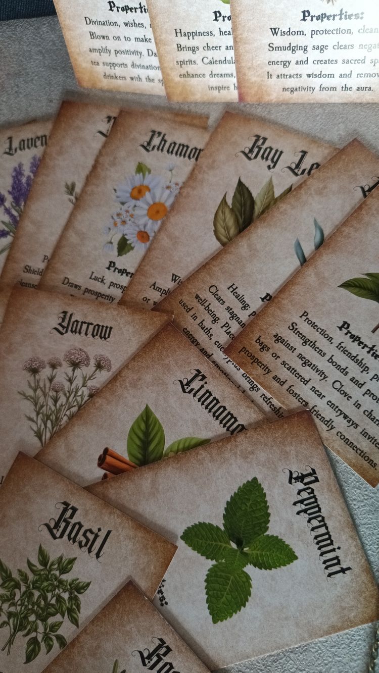 Herb Property Cards Set