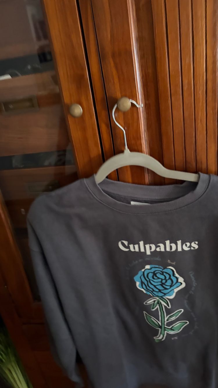 Grey Sweatshirt With Blue Rose Print imagen 1