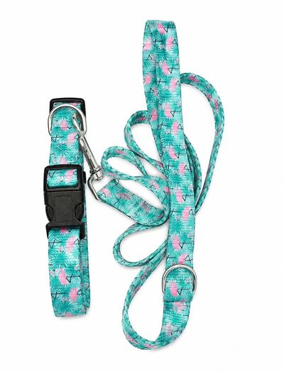 Dog Collar and Leash Set with Flamingo Print
