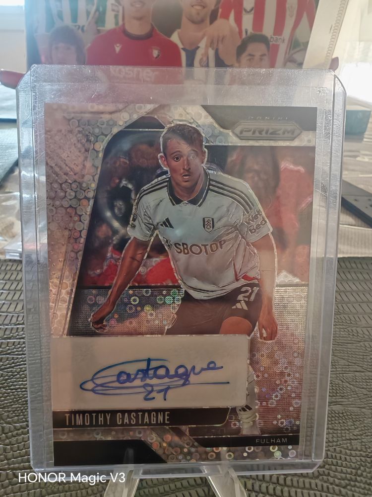 Panini Fulham Football Trading Card imagen del producto