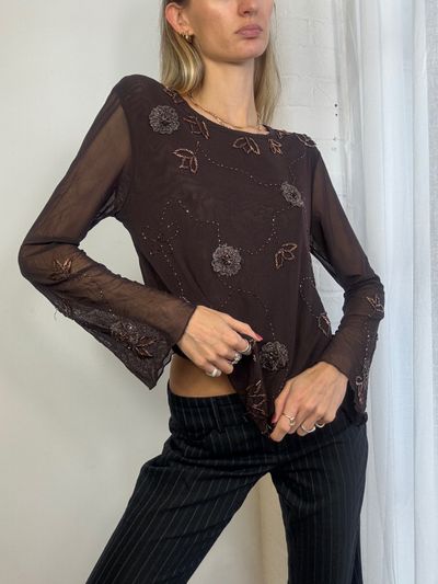 Brown Sheer Long Sleeve Top