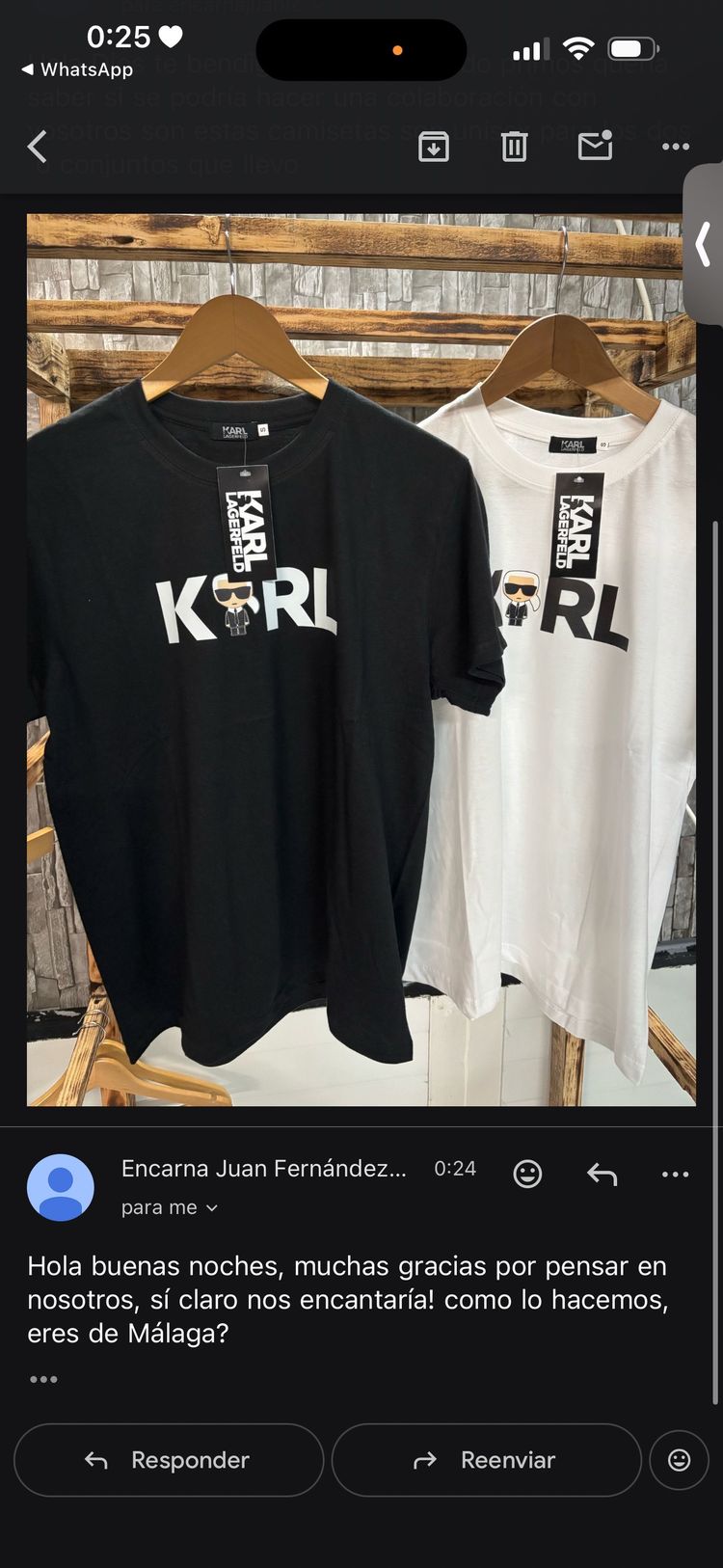 Karl Lagerfeld T-Shirts