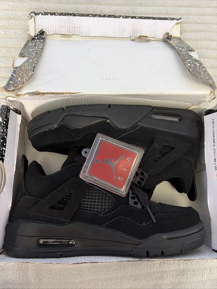 Jordan Air Jordan 4 flights  product image