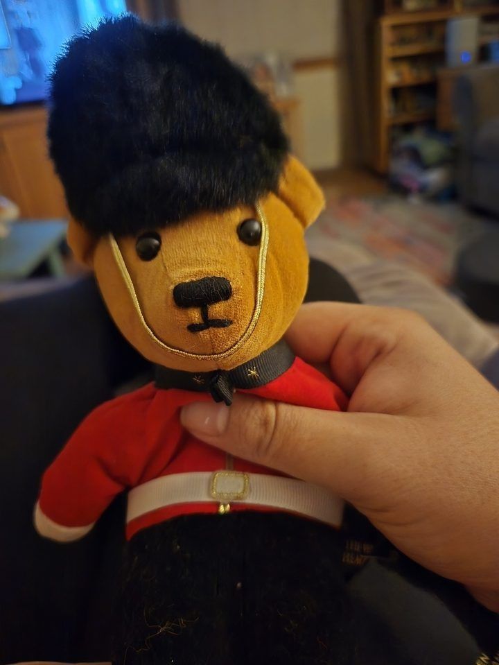 Velveteen Bear Dressed As British Guard Plush Toy obraz 3