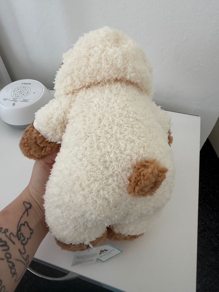 Bartholomew bear all in one jelly car  2