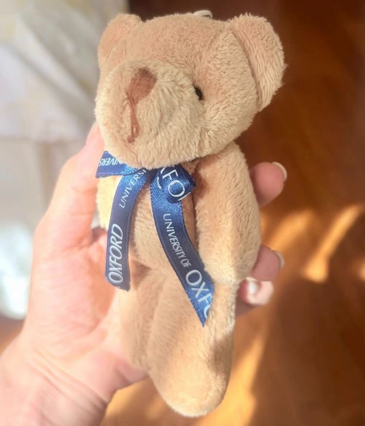 Plush Teddy Bear Keychain 3