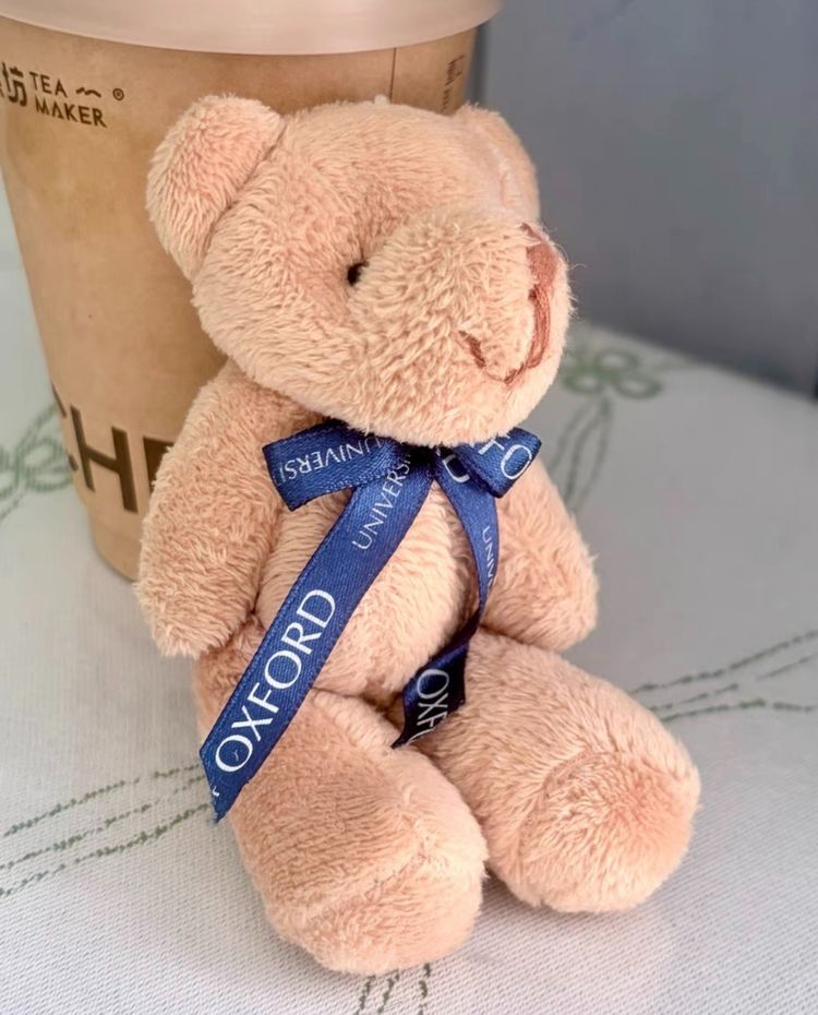 Plush Teddy Bear Keychain