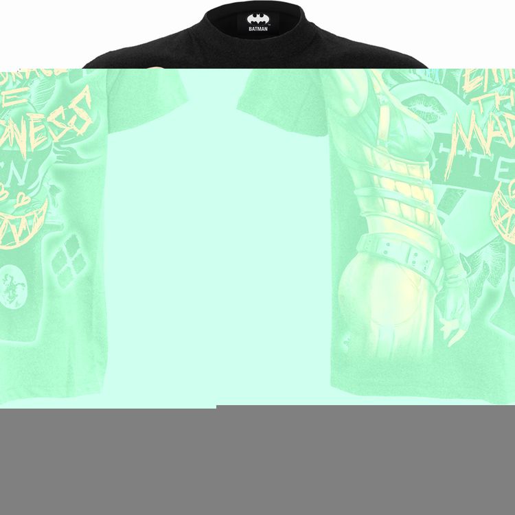 HARLEY QUINN - EMBRACE MADNESS - Front Print T-Shirt Black image 4