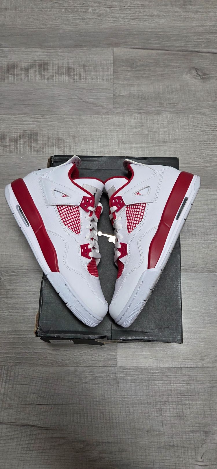 Jordan 4 Alternate 89