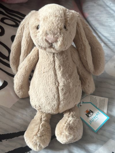 Jellycat Bashful Bunny Plush Toy