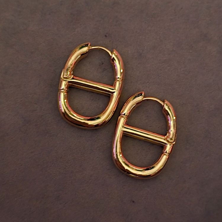 Dior hoops  3