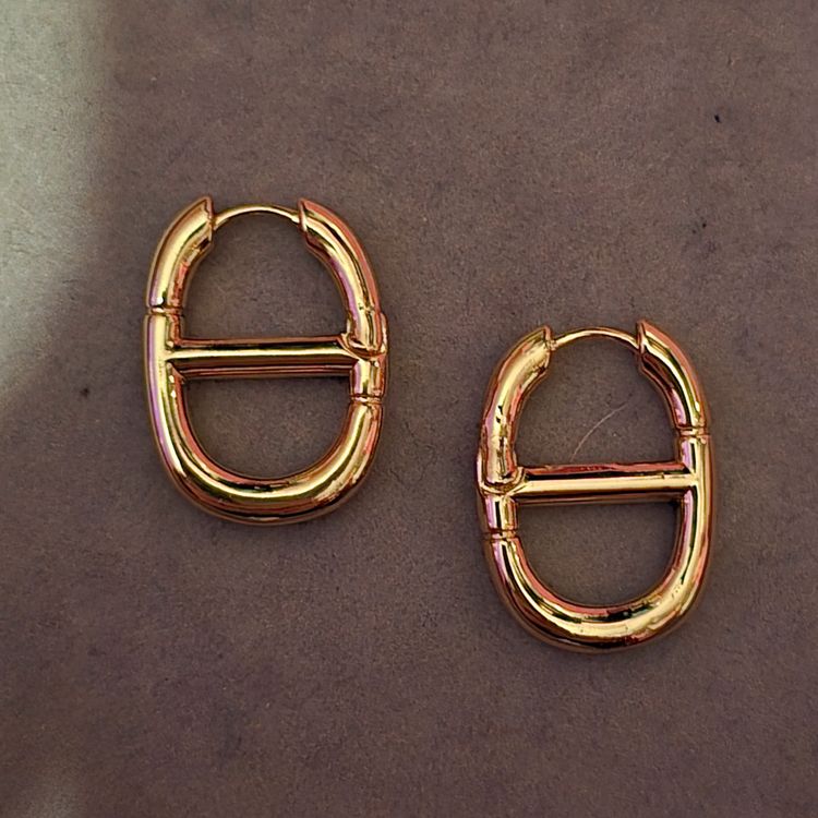 Dior hoops 