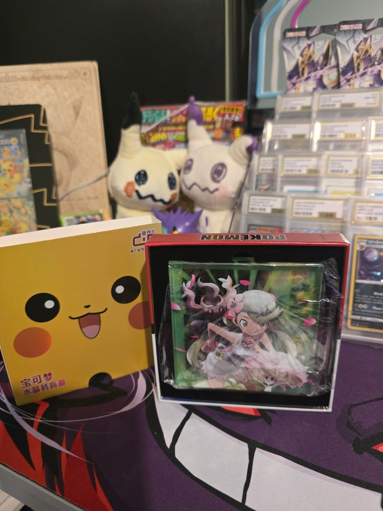 Pokemon Pokemon Acrylic 3D art product image