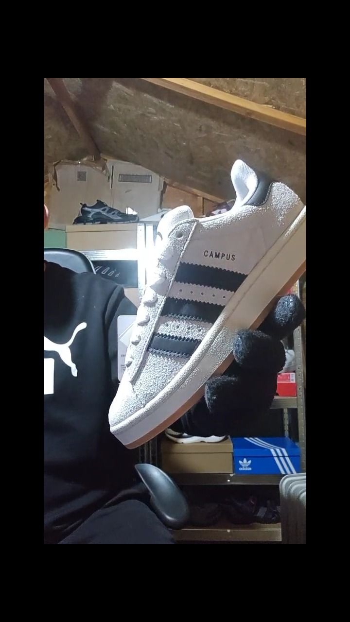 Adidas Originals ADIDAS CAMPUS  product image
