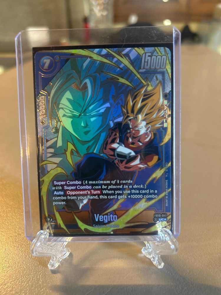 Vegito fb 10-041