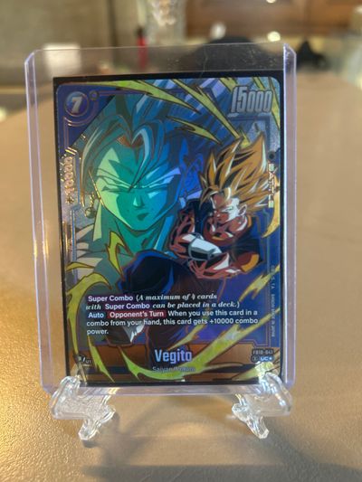 Vegito fb 10-041