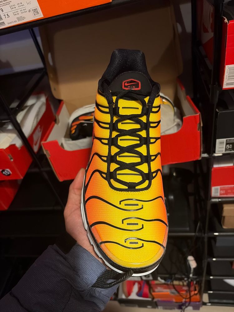 Nike Air Max Plus Sneakers 2