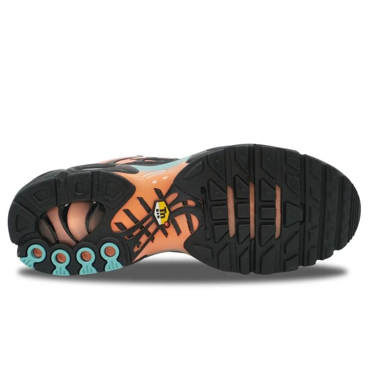 Nike Air Max Plus South Beach 7