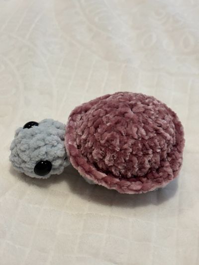 Plush Turtle Toy