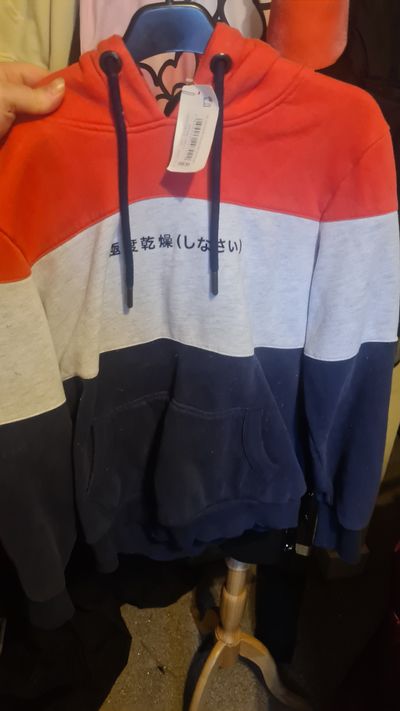 Superdry Color Block Hoodie With Japanese Text