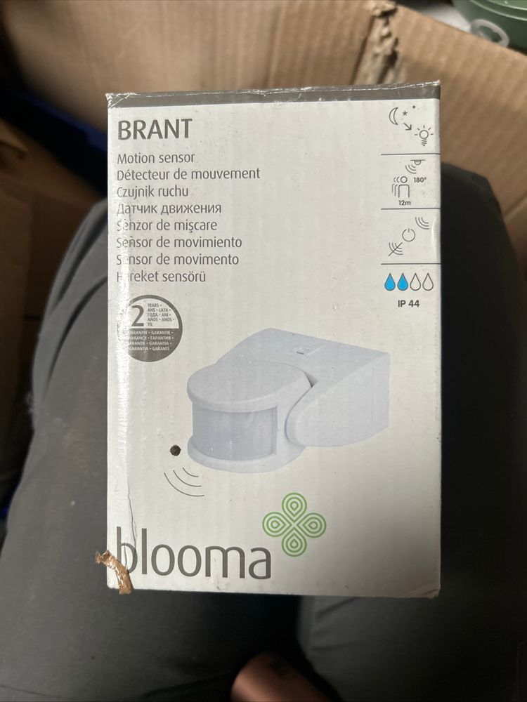 Motion Sensor