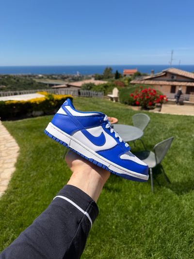 Dunk low Kentucky 38.5