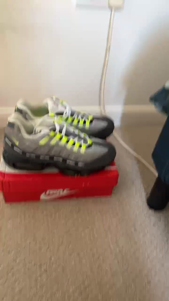 Nike Nike Air Max 95 SB product image