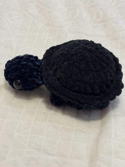 Crocheted Turtle Toy