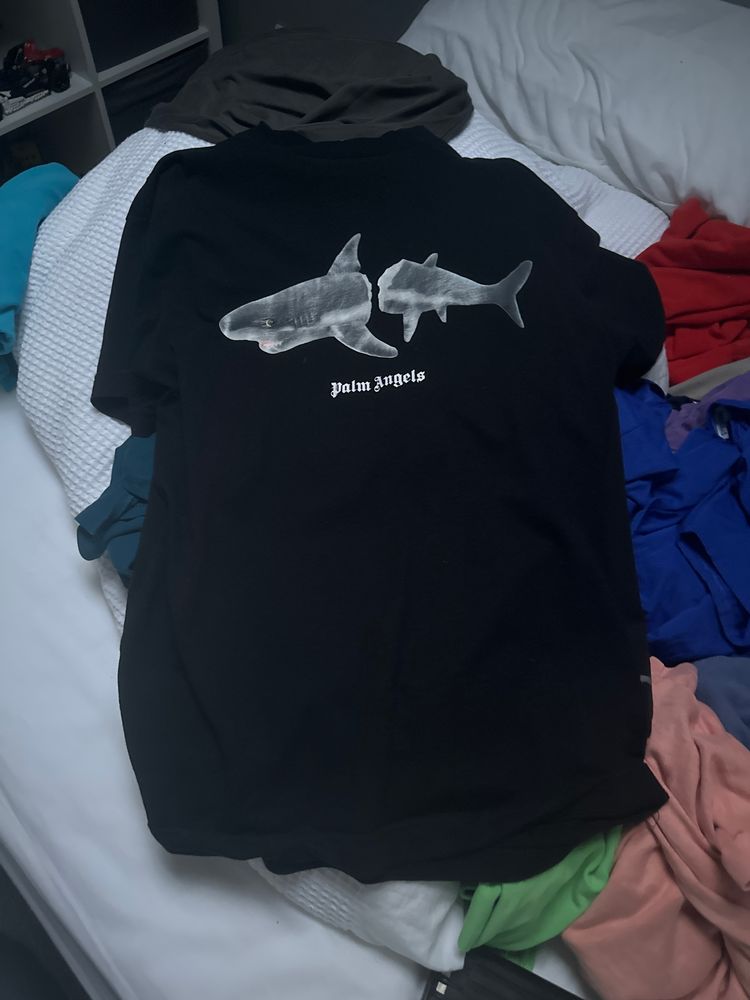 Palm Angels Black T-Shirt With Shark Graphic