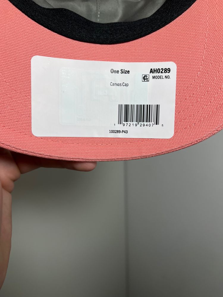 Immagine di Carhartt Canvas Cap 9
