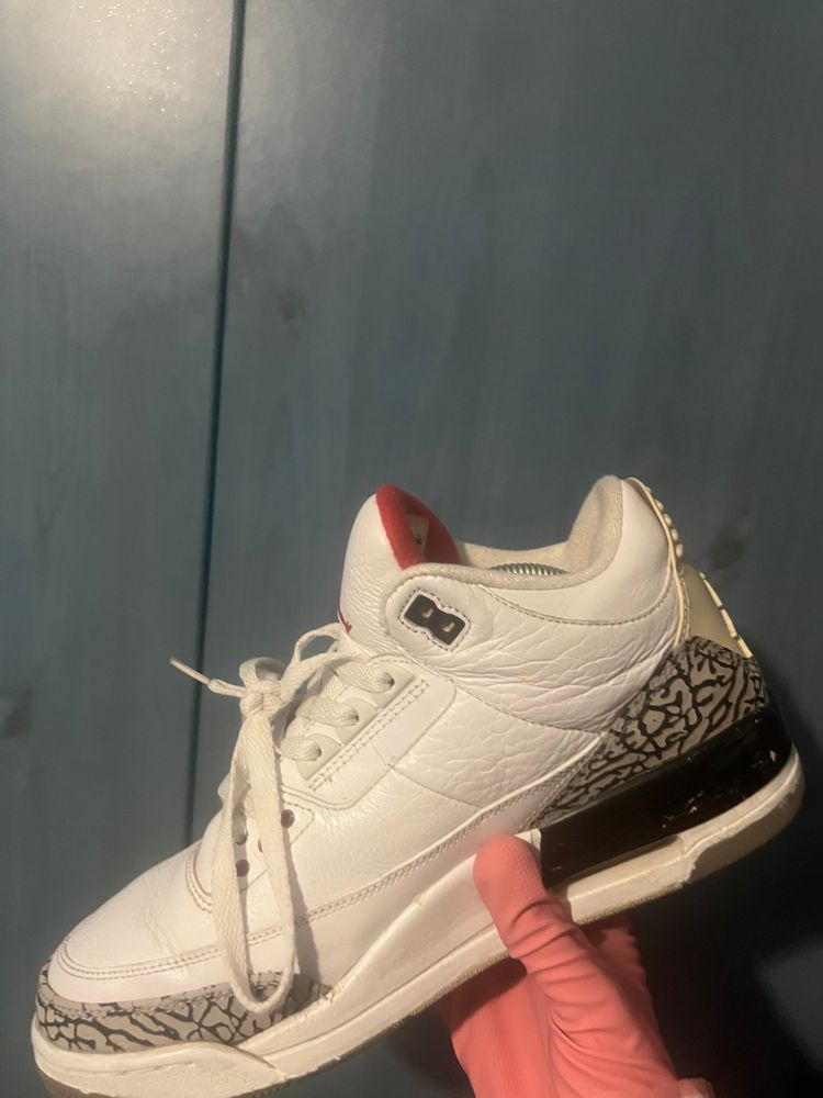 White Sneakers With Elephant Print Accents