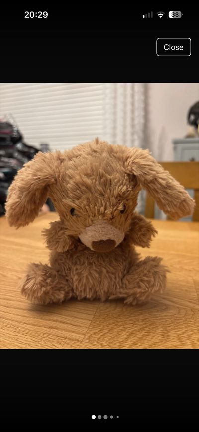 Jellycat Yummy Puppy Plush Toy