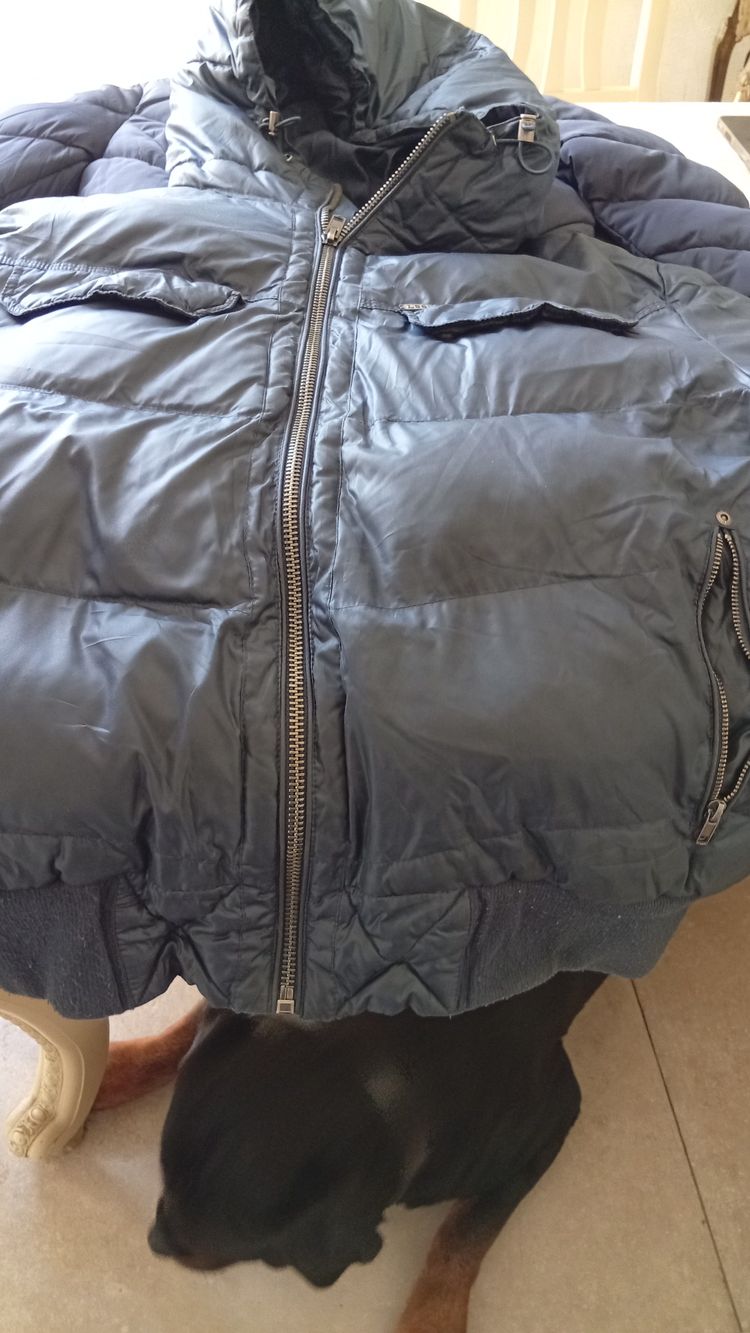 Puffa black puffer jacket product image