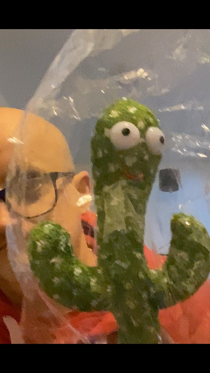 Labubu Cactus labubu  product image