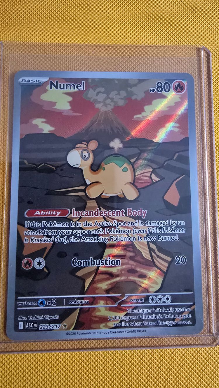 Numel Pokémon Trading Card