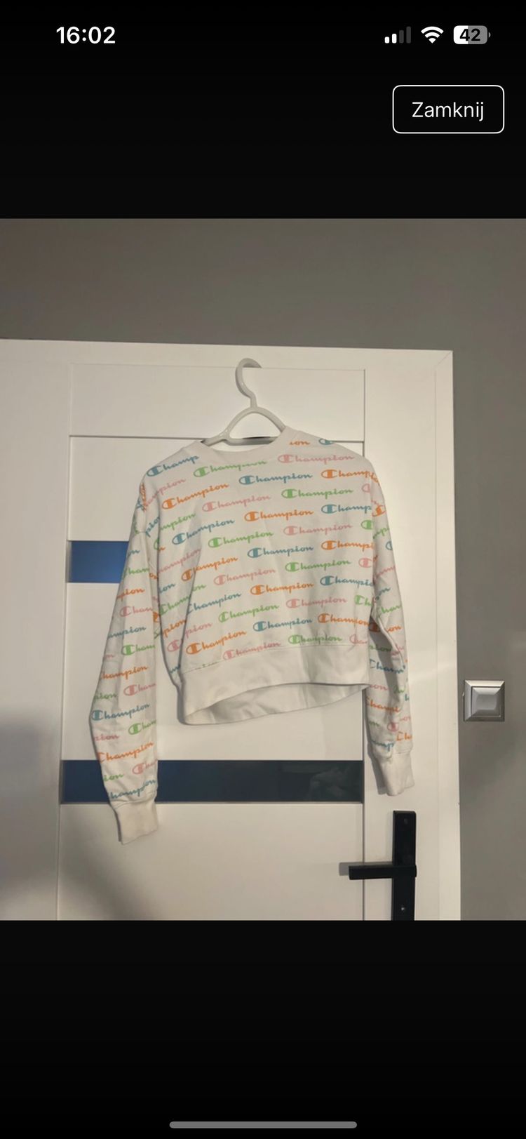 Champion Champion Sweatshirt product image