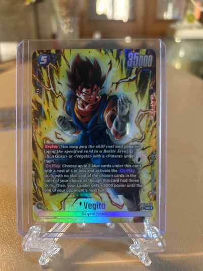 Vegito fb10 -040