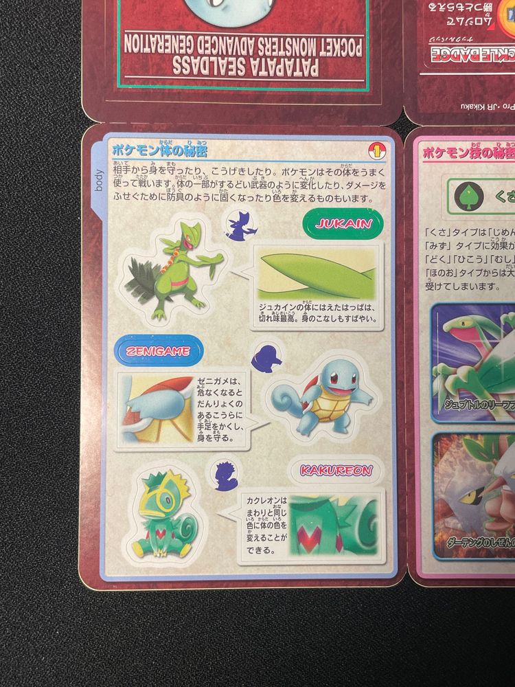 Immagine di Patapata Sealdass Pocket Monsters Advanced Generation Textbook Vol. 3 8
