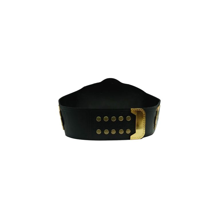 WWE RAW Ruthless Aggression World Tag Team Championship Belt 4mm Brass Plate CLEARANCE image 4