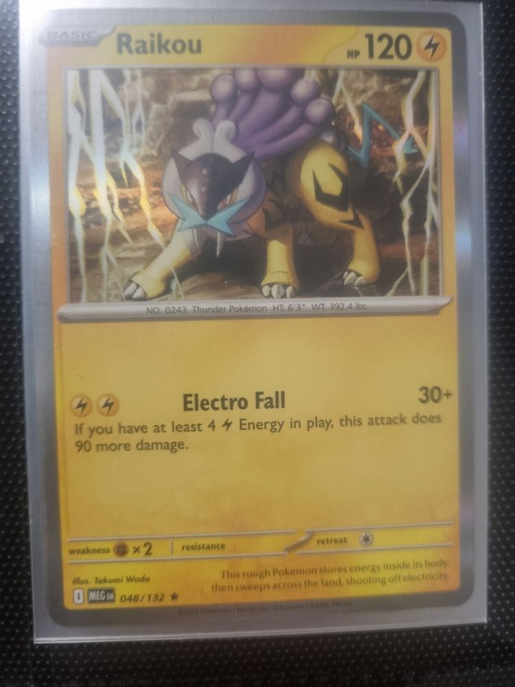 Pokemon Raikou Pokemon Trading Card product image