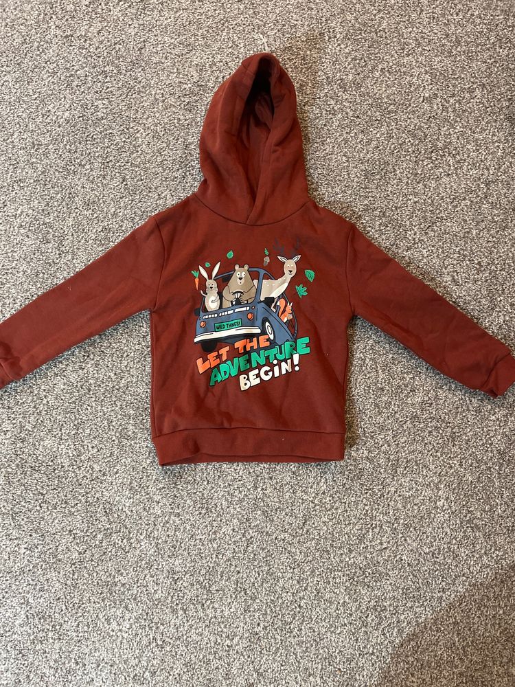Brown Hoodie With Animal Graphic And Text image 1