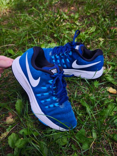 Nike Blue Running Shoes