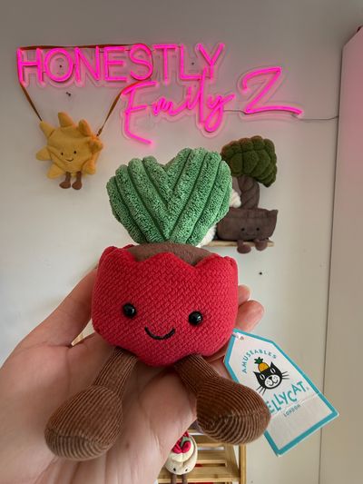 Kerrii Cactus jellycat (£28)