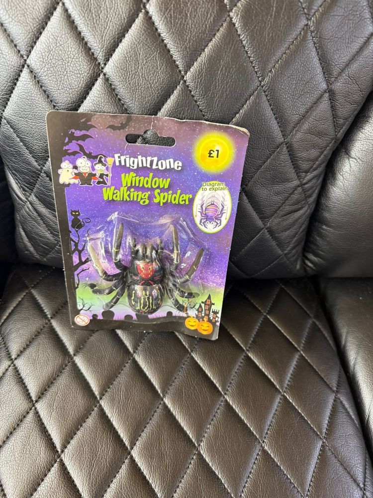 Frightzone Window Walking Spider