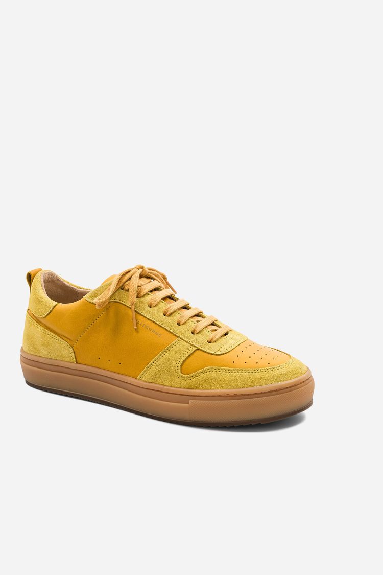 B0 - Amber image 1