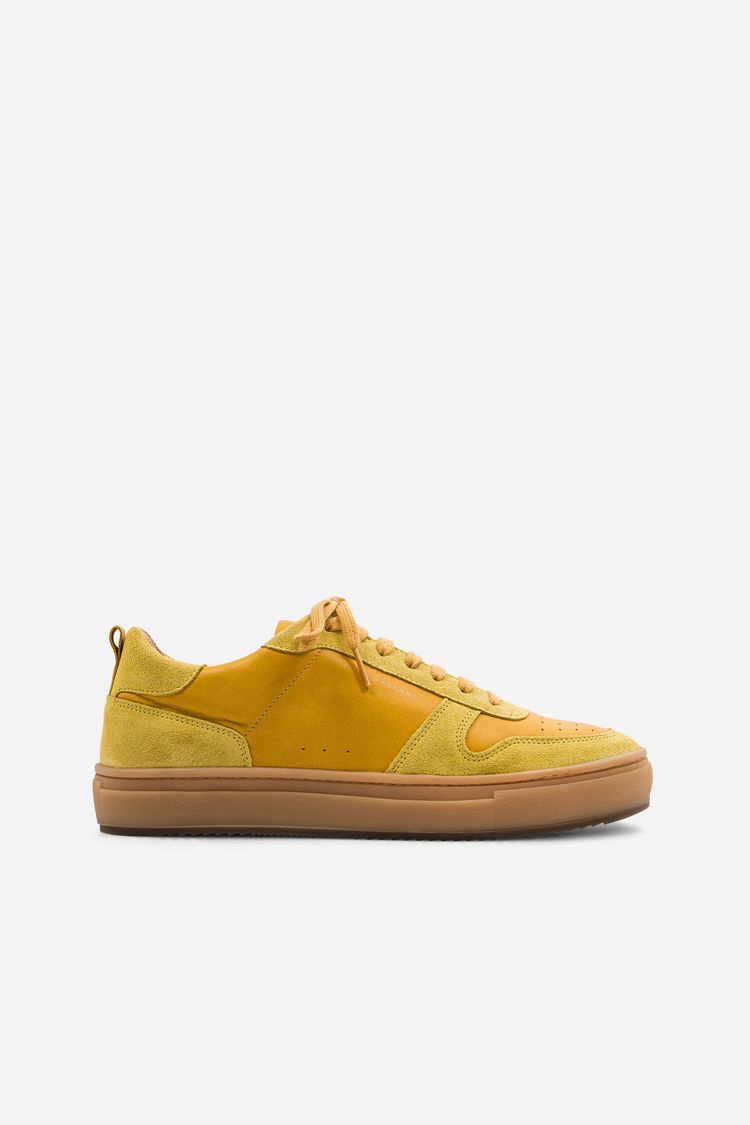 B0 - Amber image 2