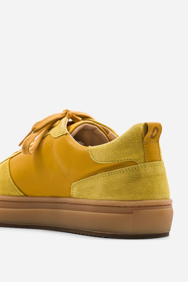 B0 - Amber image 5
